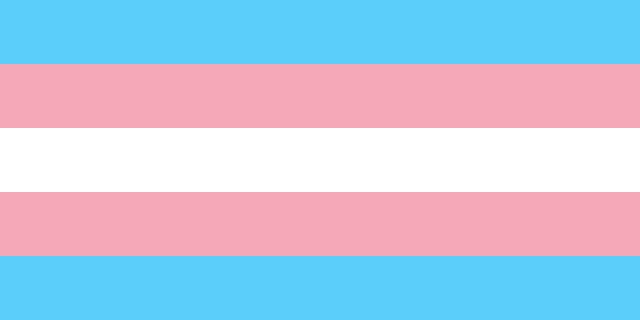 The transgender price flag; blue, pink and white striped
